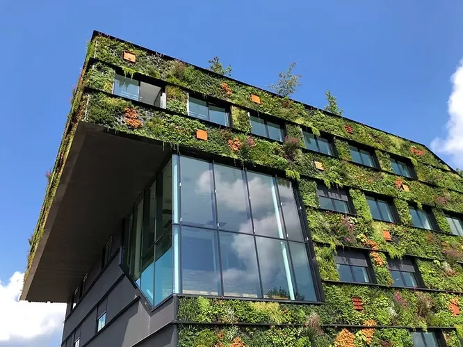 A striking modern building facade enveloped in a lush living green wall featuring diverse plant species, contrasted by large glass windows.