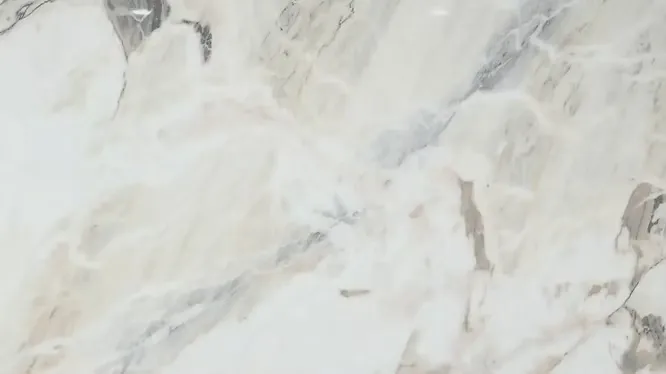 Close-up view of premium Michelangelo marble from Estramoz, featuring elegant and dramatic dark gray veining.